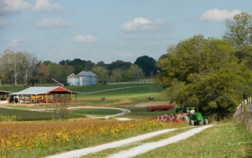 New Farmland