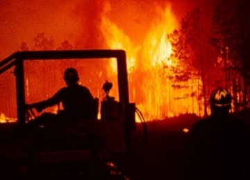 Forest firefighter driving tractor into flames