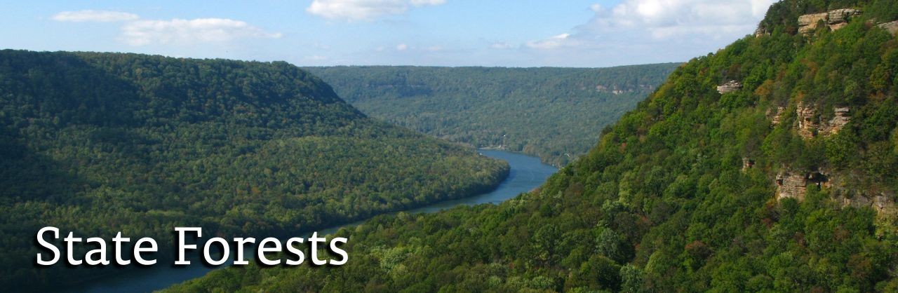 hero_stateforests