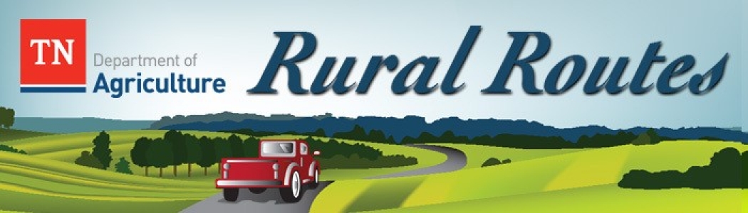 Rural Routes Header Rural Routes Header