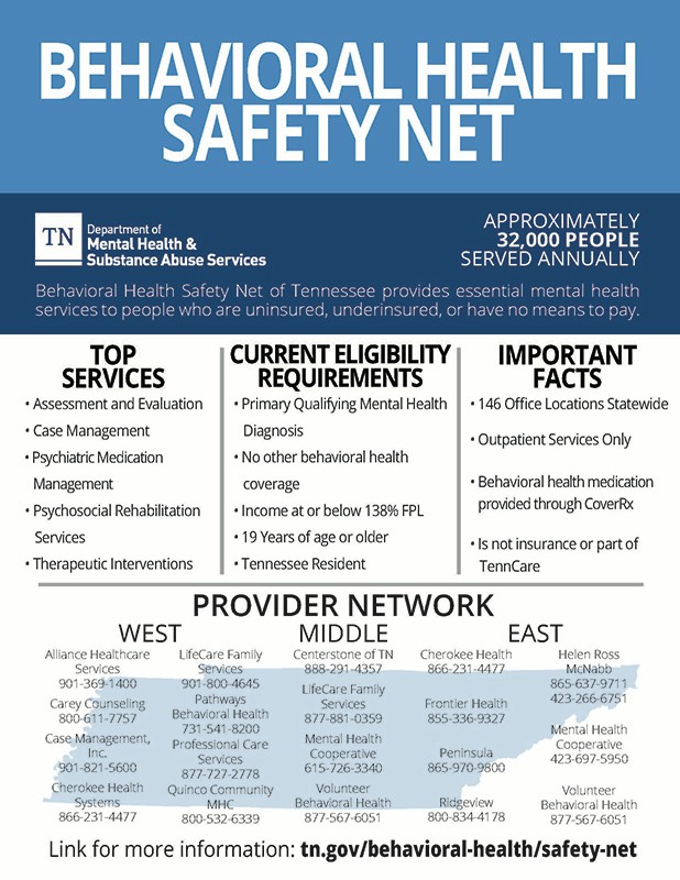 BHSN_of_TN_2019_Onepager