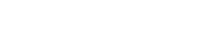 Tennessee State Government, Volunteer Tennessee logo