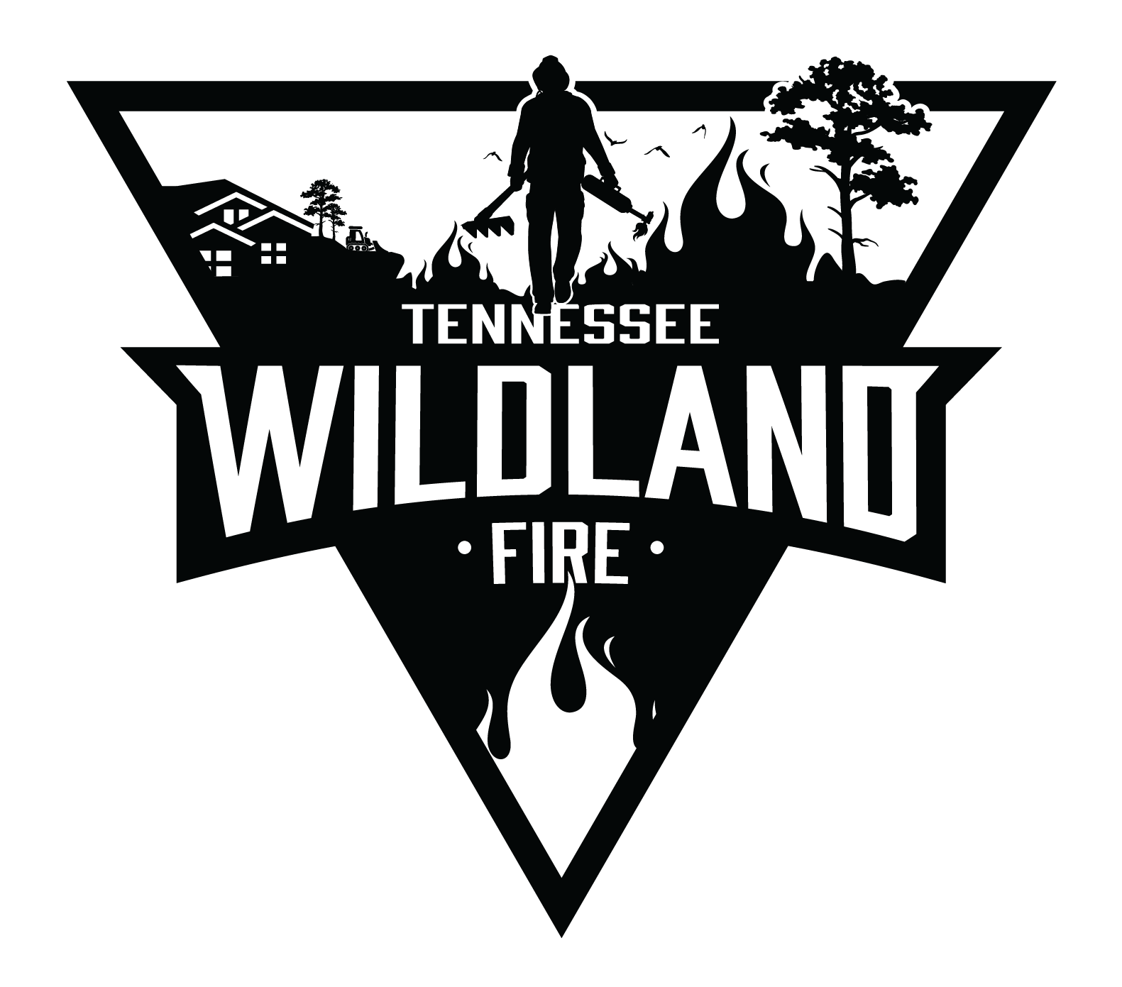 Wildland Fire