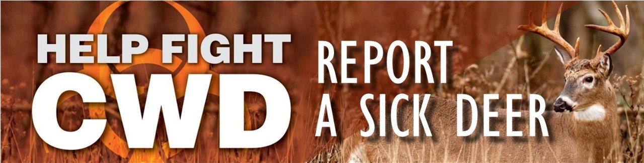 Report A Sick Deer Report A Sick Deer