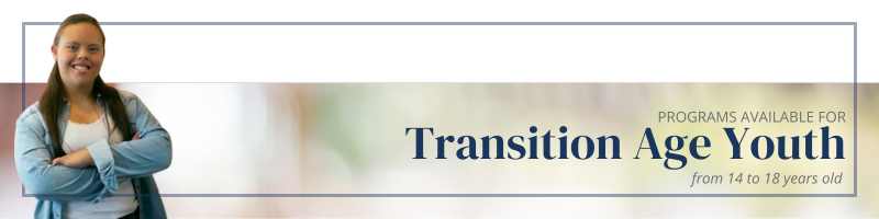 Programs available for Transition Age Youth