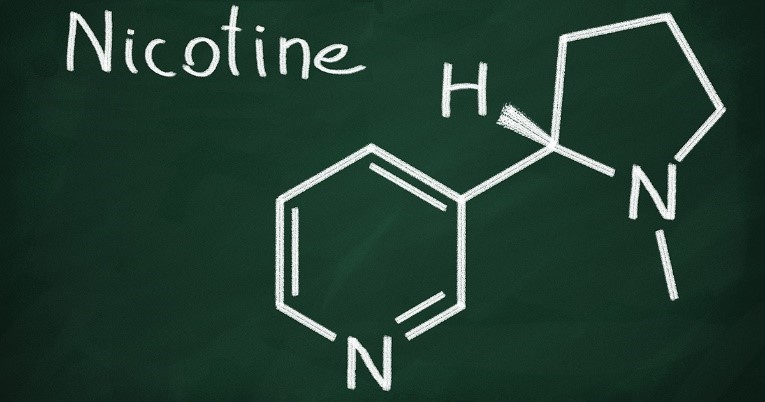 Synthetic-Nicotine Synthetic-Nicotine