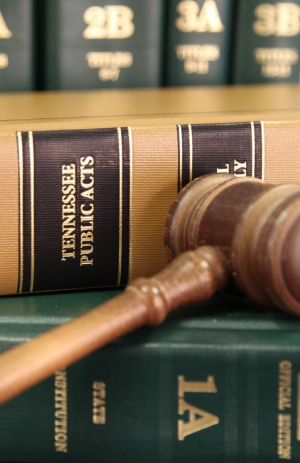Tennessee Public Acts