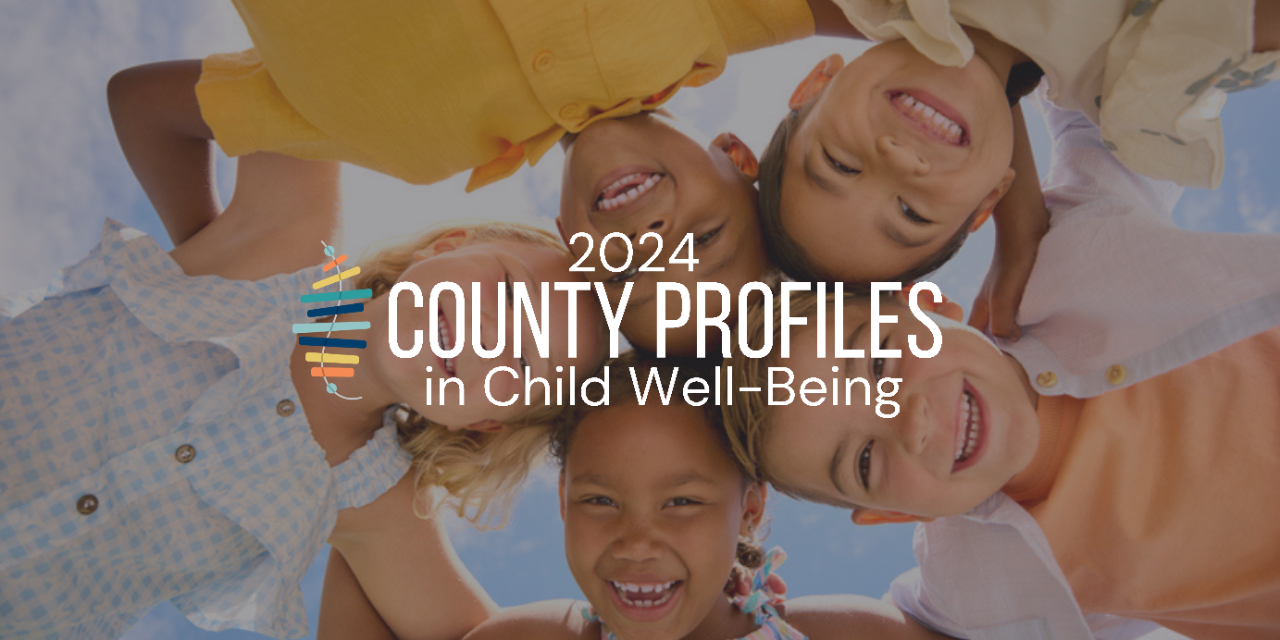 Copy of 2023 County Profiles (Banner (Landscape)) - 2
