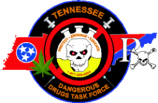 TDDTF Logo