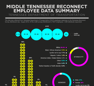 infographic infographic
