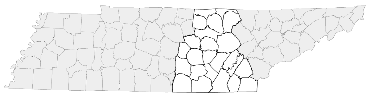 region-2 region-2