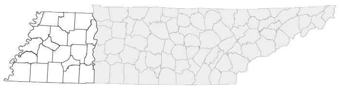 region-4 region-4