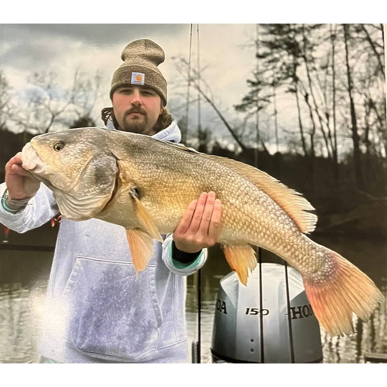 Dylan Hodges, 30” Freshwater Drum – Melton Hill Reservoir