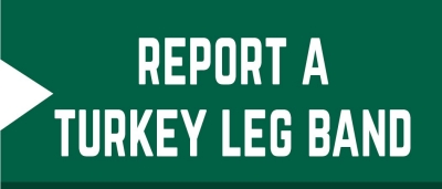 Report a Turkey Leg Band