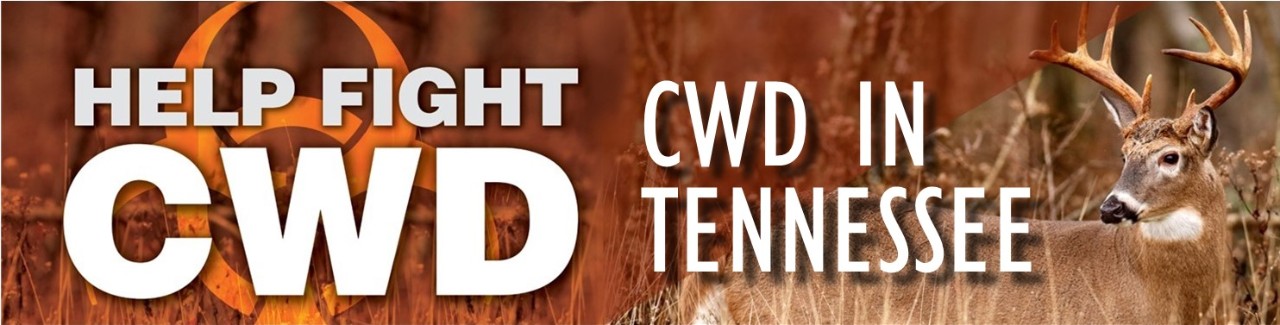 Regulations And Hunting with CWD