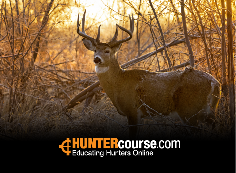 Huntercourse.com Tennessee Hunter Education Course NRA Hunter Education Course