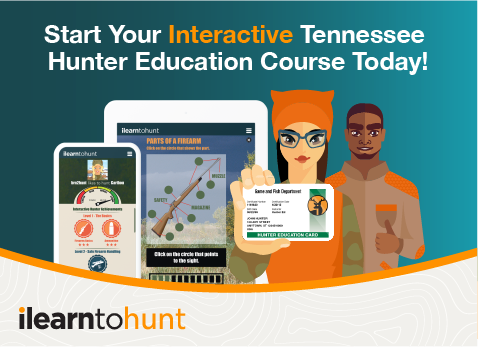 TN_Interactive_Banner TN_Interactive_Banner