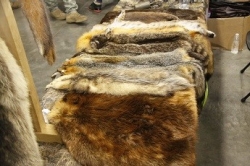Trapper Education
