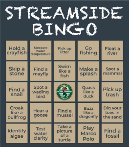 Back Yard Bingo