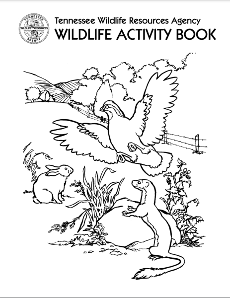 Wildlife Coloring Book
