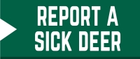 Report a sick deer here. Report a sick deer here.