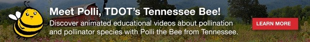 TDOT Pollinator website