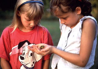 Kids playing with frongs