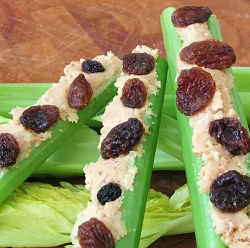 Ants on a Log